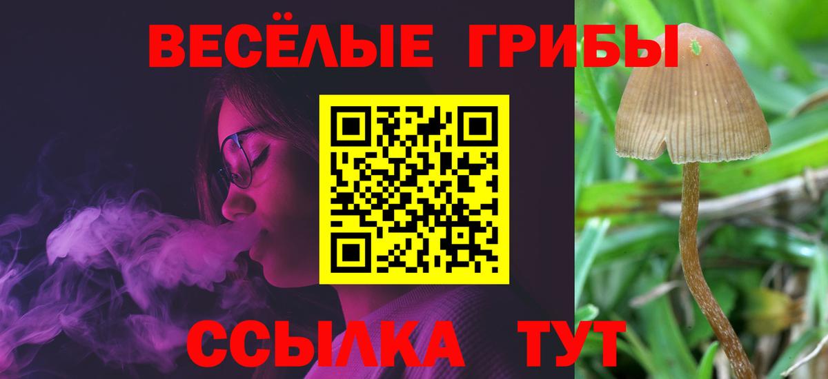 Валуйки  купить наркоту  Вход с VPN  Псилоцибиновые грибы мицелий 
